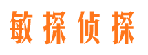 邵阳市调查公司